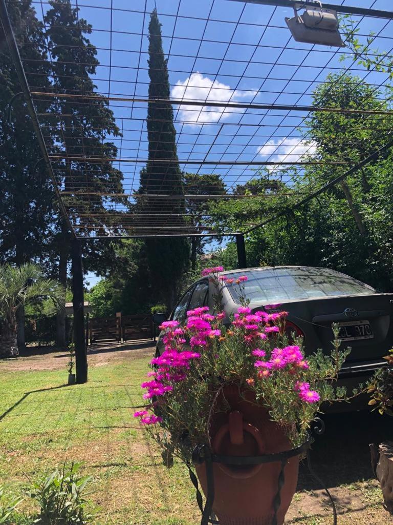 Villa Ezeiza Quinta Cedro Azul 10 Min Del Aeropuerto Esterno foto
